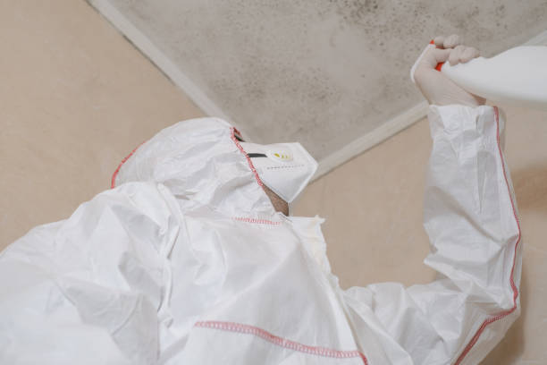 Best Preventive Mold Services in Fritz Creek, AK